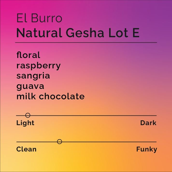 El Burro - Natural Gesha Lot E